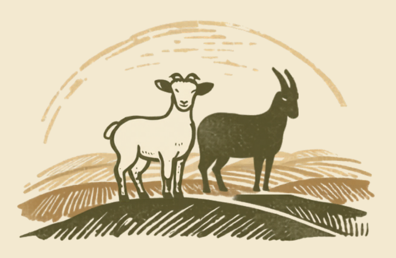 Schaf und Ziege auf der Weide