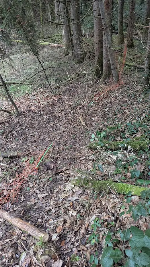 Detailaufnahme einer Schwachstelle am Weidezaun, z. B. eine lockere Litze